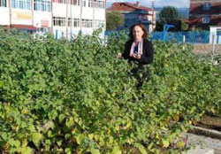 Rize Ayder'de İsrail Şoku!