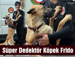 Çay Tütün Dedektör Köpeği Rize'den