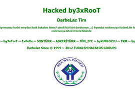 Rizeli Hacker Hyundai'nin sitesine hackledi