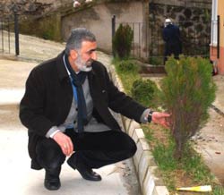 Komşusunun Arsasına İzinsiz Ağaç Dikince