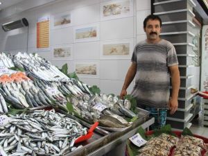 Balıklar El Yakıyor