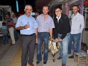 Osmancık’ta Şükür Kurbanı Kesildi