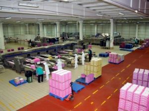 Burdan Yumurta’ya Uluslararası Ödül