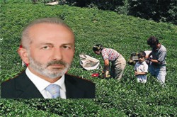 Çay'da Fiyat Karmaşası