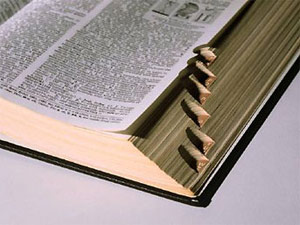 Elektronik sözlüğünüzü güncelleyin