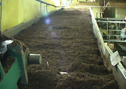 Çay Güzelleştirecek