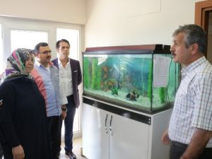 Atık Sular Arıtılarak Tarımda Kullanılıyor