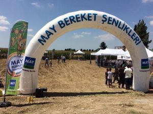May Tohum Şampiyon Mısırlarını Tanıttı