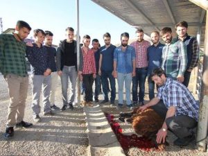 Bayburtlu Gençler Harçlıklarıyla Kurban Kesip İhtiyaç Sahiplerine Dağıttı