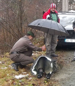 Rize'de Trafik Kazası 3 Yaralı