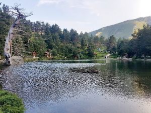 Sıcaktan Bunalan Limni Gölüne Akın Ediyor