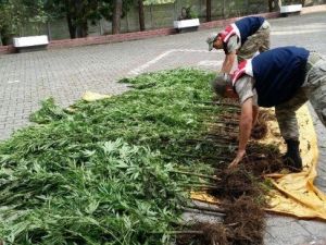 Salıpazarı’nda Uyuşturucu Operasyonu