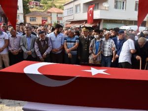 Sinop Şehidini Uğurladı