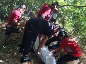 Sakarya Nehri’ne Düşen Adamın Cesedi Bulundu