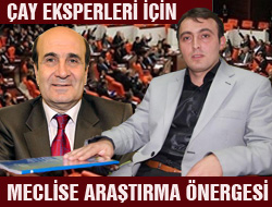 Çay Eksperleri İçin TBMM`ye Önerge