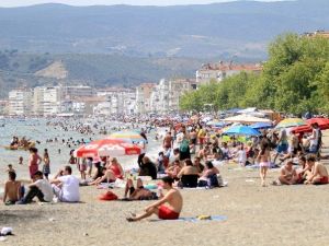 Bursa Sahillerinden Güzel Haber
