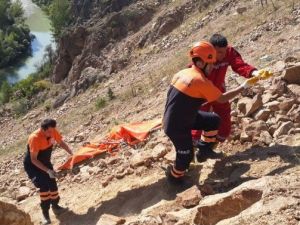 Şiran’da Trafik Kazası: 2 Ölü, 1 Yaralı