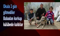 Çocukları köpekleri buldu
