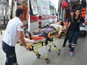 Fındık Toplarken Düşen İşçi Yaralandı