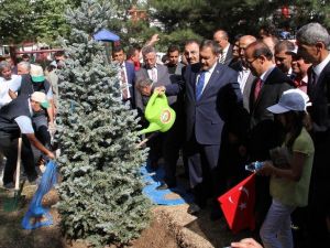 Bakan Eroğlu: "Çıkan Bin 733 Orman Yangınında 6 Bin 659 Hektar Alan Yandı”