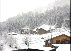 Ayder'de Kar yağışı Sürüyor