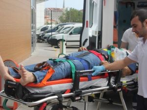 İncir Toplarken Canından Oluyordu