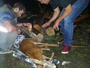 Artvin’de Yaralı Karacaya Polis Şefkati