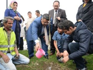 Bilecik’te Karbon Ayak İzi Belirleniyor