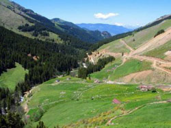 Ordu ve Giresun yeşil hat ile birleşiyor