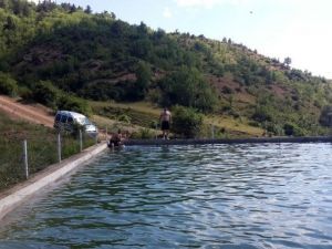 Köylerde Sulama Havuzları Gençlerin Serinleme Mekanları Oldu