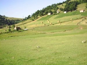 Ordu’da Çatışma