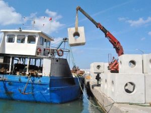 Yalova Su Ürünleri Balıkçılar Kooperatifi Başkanı Erdal Tokalak: