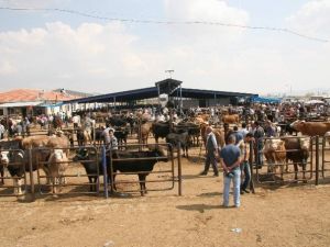 Kurban Bayramı Önce Fiyat Spekülatörlerine Dikkat