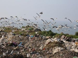 Ordu Çöpten Para Kazanacak