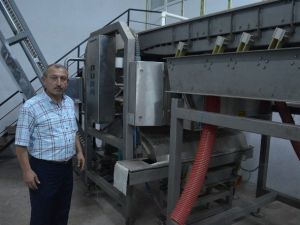Fiskobirlik Tesislerinde Lazerli Deneme Fındık Kırımı Yapıldı