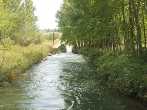 Serinlemek İçin Kanala Giren Çocuk Boğuldu