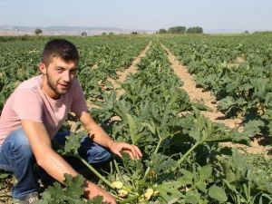 Yenişehir’den Avrupa’ya Kabak Reçeli