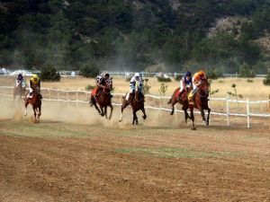 Taşköprü’de At Yarışları Nefes Kesti