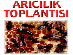 Rize'de Arıcılık Toplantısı Yapılacak