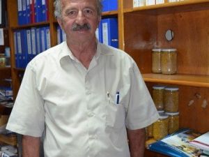 Arıcılar Sıkıntılı
