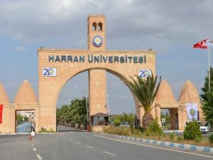 Üniversiteye Yerleşemeyenler İçin Ek Kontenjan Müjdesi