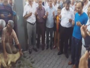 Fetö Soruşturmasında Serbest Bırakılan Belediye Başkanı Kurban Kesti