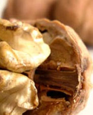 Ceviz meme kanserine birebir!