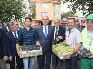 İlk Siyah İncir İhracatı Almanya’ya