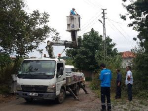Otomobil Elektrik Direğine Çarptı