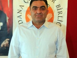Narenciyede Hasat Sancılı Başladı
