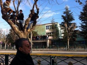 Cezalı Taraftarlar Maçı Ağaç Üstünden Takip Etti