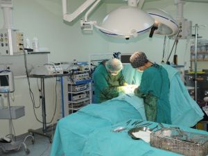 Cizre’de İlk Defa ‘Total Kalça Protezi’ Ameliyatı Yapıldı