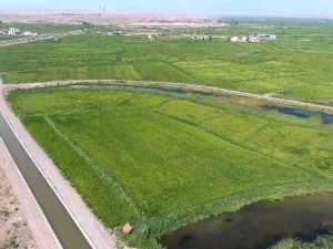 Toprağı Suyla Buluşturan Proje Ekonomiye 24 Milyon Lira Katkı Sunacak