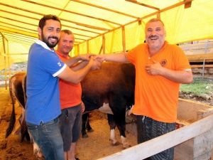 Kurbanlıklar Görücüye Çıktı